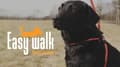 Miniatyrbilde 3 av 6: Easy Walk håndholdt modell rød