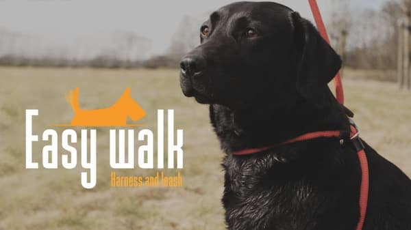 Easy Walk håndholdt modell rød
