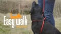 Miniatyrbilde 4 av 6: Easy Walk håndholdt modell rød