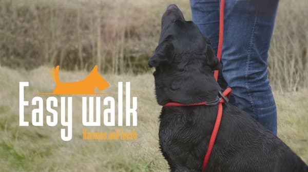 Easy Walk håndholdt modell rød