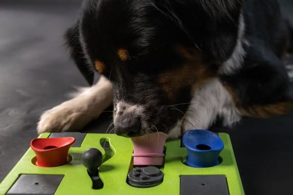 Syö Slow Live Longer Puzzle-suorakulmio