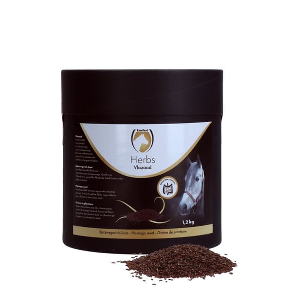 Utmerkede urter Plantago frø (psyllium)
