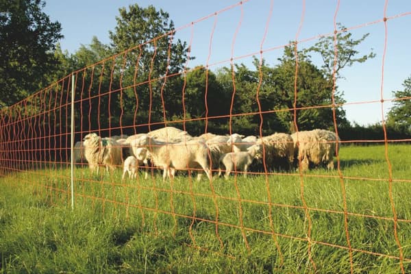 Euro-Net Universeel 80 cm enkelt pigg