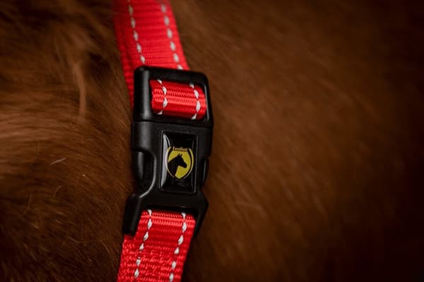 Fremragende Horse Essential Halter XS Mini Føl Rød
