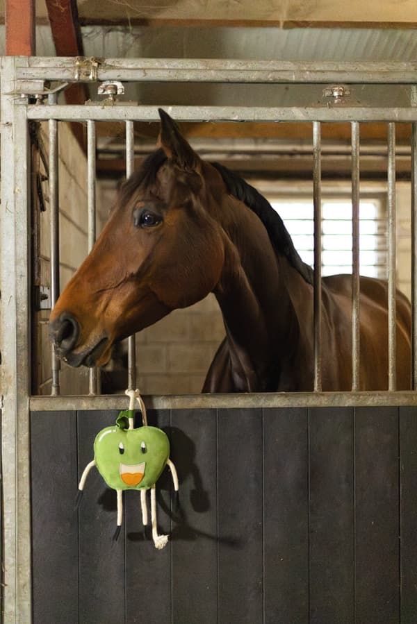 Fremragende Horse Foodie Friends Apple