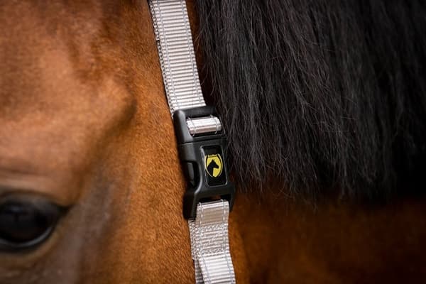 Fremragende Horse Essential Halter XS Mini Føl Grå