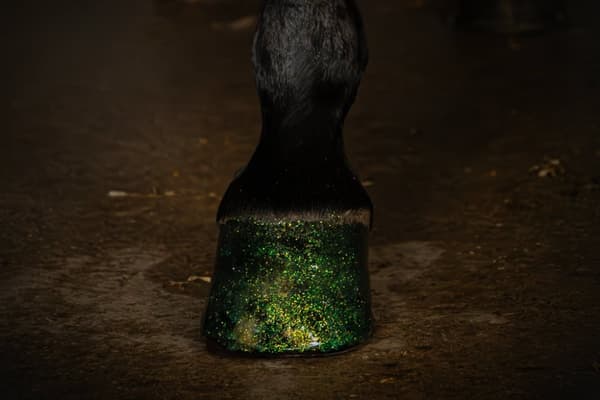 Utmerket Horse Hi Gloss Glitter Hoof Polish Green 150 ml