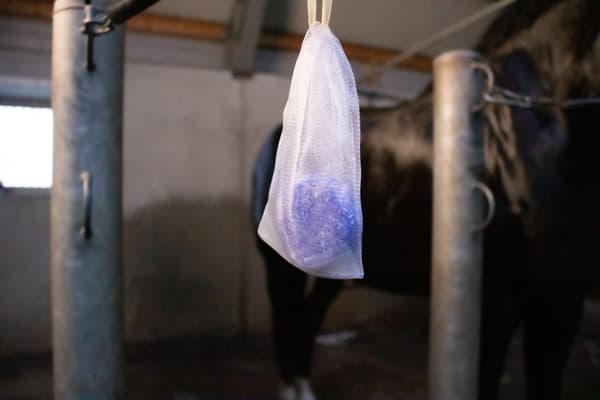 Excellent Horse Hi Gloss Shampoo Bar Lavender 60 g