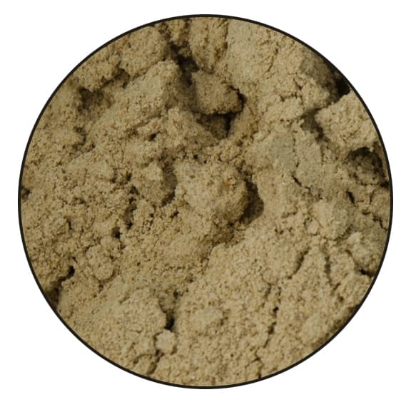 Utmerket Horse Psyllium Plus 1,2 kg
