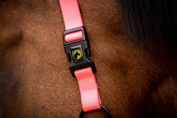 Erinomainen Horse Premium Halter XS Mini Foal Pink