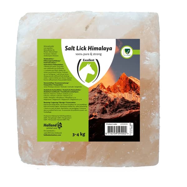 Fremragende Horse Salt Lick Himalaya 2-3 kg (Med reb)