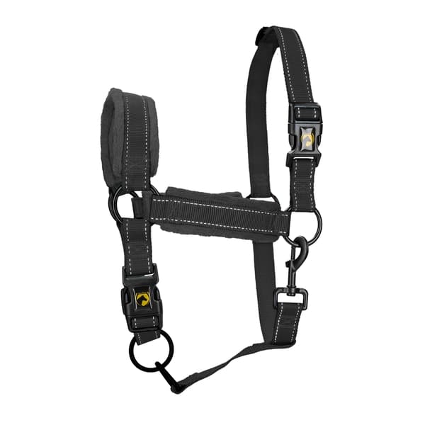 Utmerket Horse Superior Grime S Føll Svart