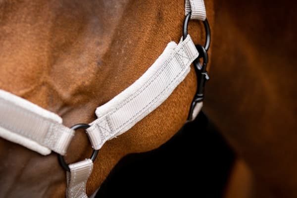 Utmerket Horse Superior Grime XS Mini Følgrå