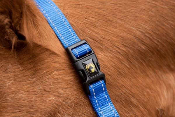 Fremragende Horse Superior Halter XS Mini Føl Blå
