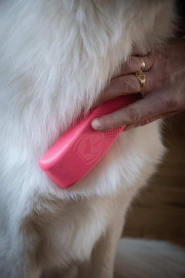 Fremragende Pet Grooming Brush Medium sort