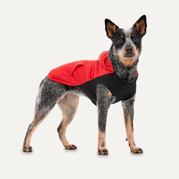 Gooeez Kangaroo Fleece Hættetrøje M Rød/Sort