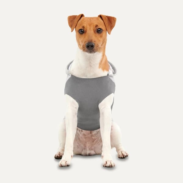 Gooeez Kangaroo Fleece Hettegenser 2XS Heather Grå/Grå