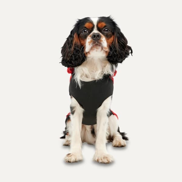 Gooeez Kangaroo Fleece Hettegenser S Rød/Sort
