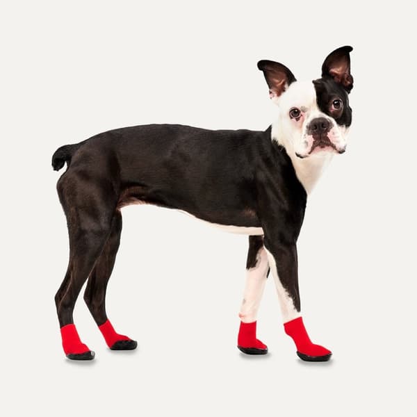 Gooeez Lites Dog Booties (4-pack) 2XS Röd/Svart