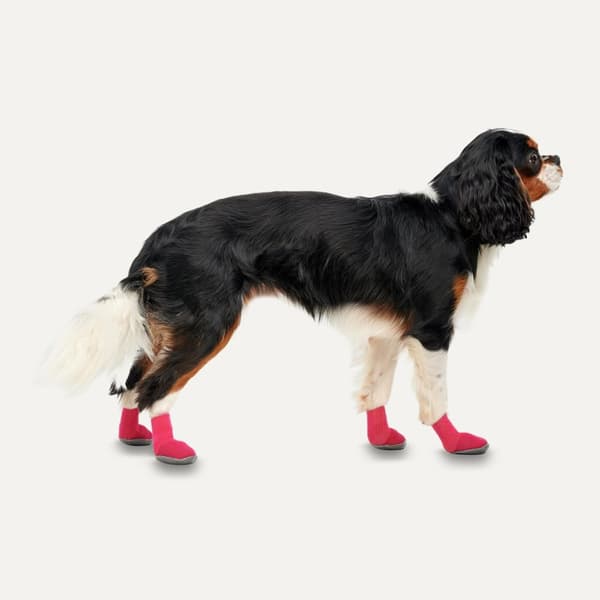 Gooeez Lites Dog Booties (4-pack) 2XS Röd/Svart