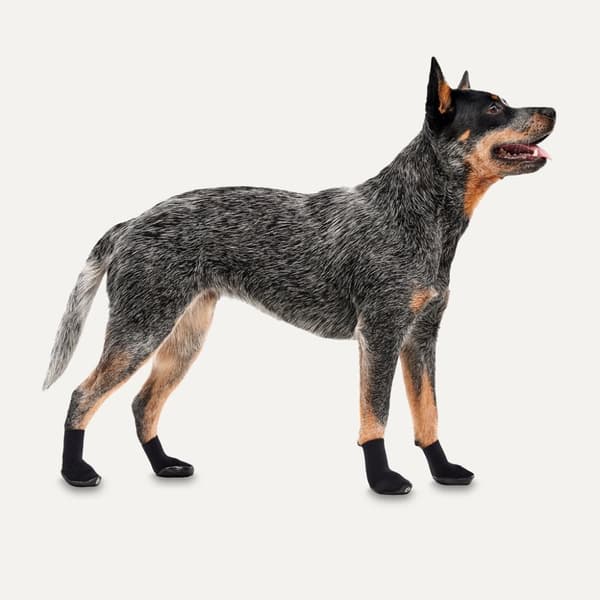 Gooeez Lites Dog Booties (4-pakning) 2XS Svart/Sort