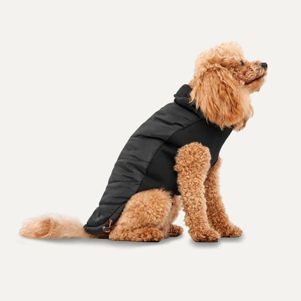Gooeez Mock Neck Signature Jacket S Svart/Sort