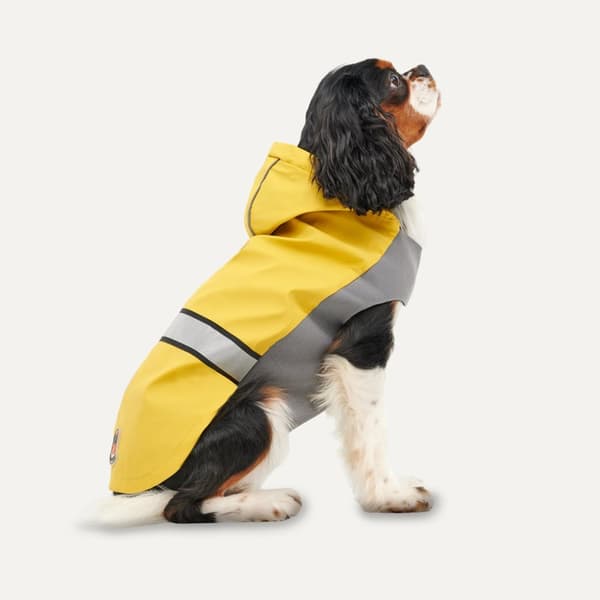 Gooeez Reflekterande Hooded Raincoat XL Gul/Grå