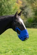 Miniatyrbillede 1 af 4: Græssende næseparti Zephyr Short Cob (Fuldblod)