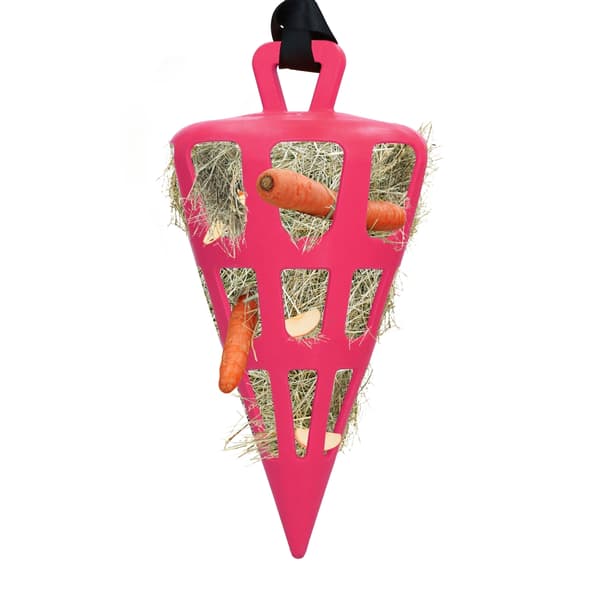 Hay Slowfeeder Fun and Flex 22 cm Rosa gulrot