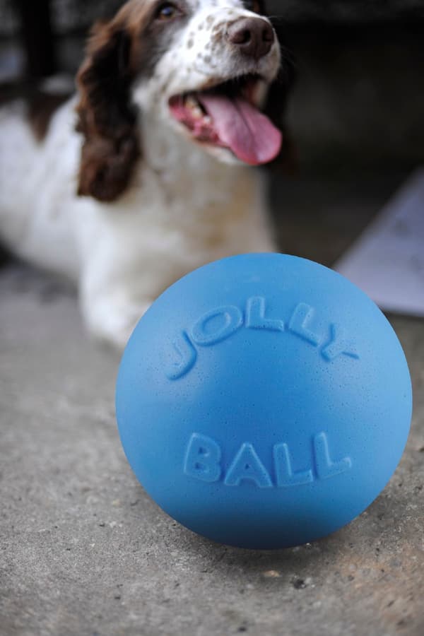 Jolly Ball Bounce-n Play 20 cm Baby Blue (Blue Berry Smell)