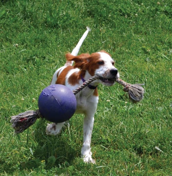 Jolly Ball Romp-n-Roll 10 cm Blå