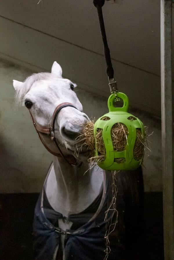 Jolly Hay Ball groen 20 cm