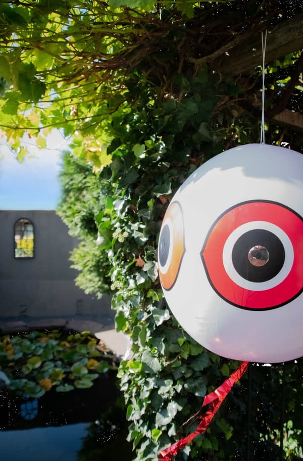 Knock Pest Scare ballon Sort