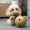 Miniatyrbillede 2 af 3: KONG Bamboo Feeder Ball Md
