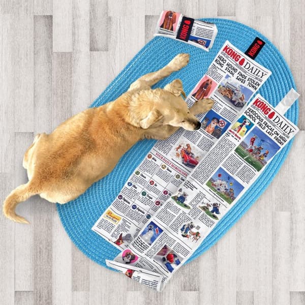 KONG Daily Newspaper XL