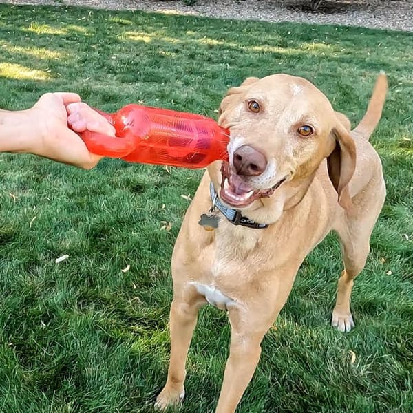 KONG JumbleTug Assorted Md/Lg