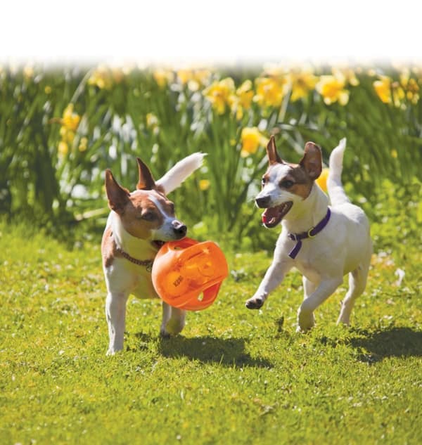KONG Jumble Ball M/L 13,9 cm