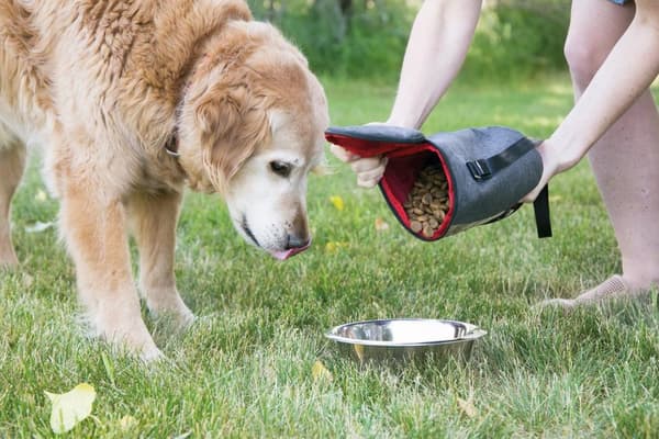 KONG Kibble förvaringsväska