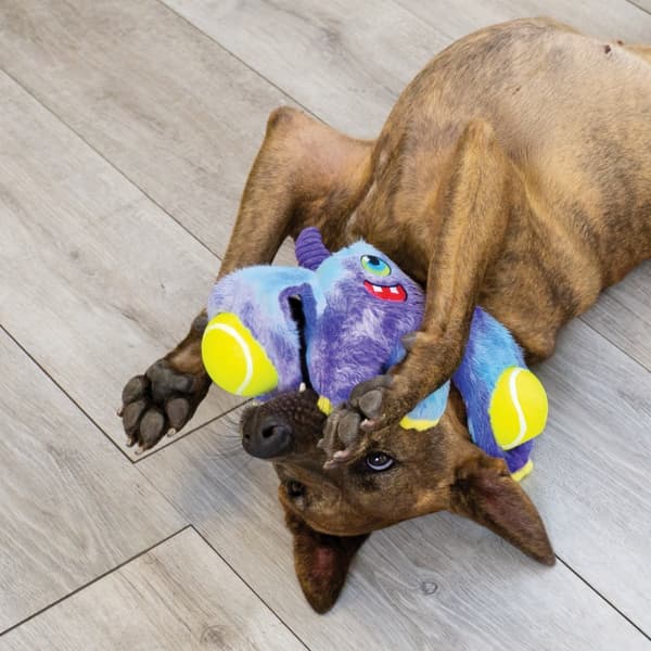 KONG Woozles Monster Assorted Md EU