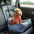 Miniatyrbilde 3 av 4: KONG Ultimate Safety Seat &amp; Tether