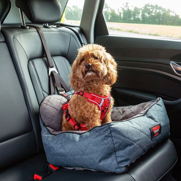 KONG Ultimate Safety Seat &amp; Tether