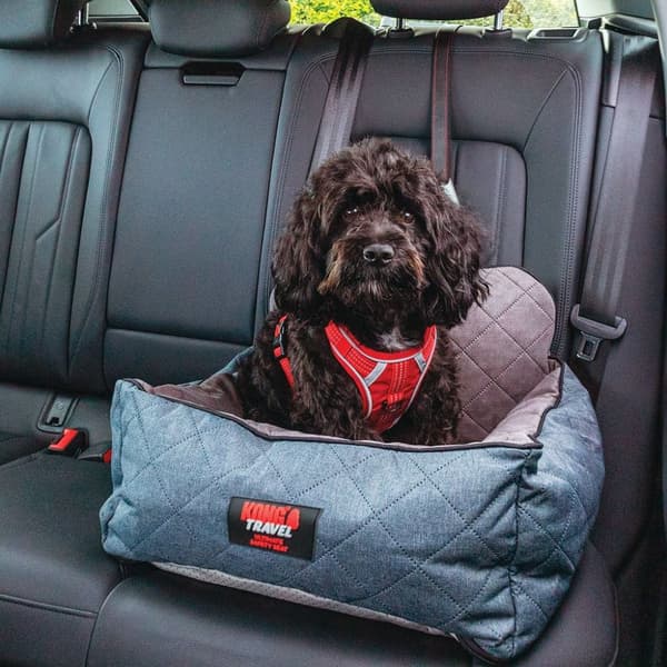 KONG Ultimate Safety Seat &amp; Tether