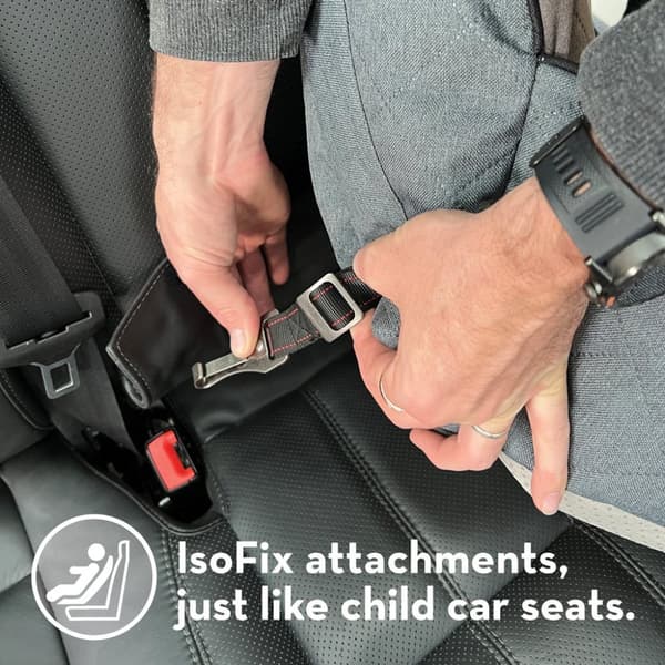 KONG Ultimate Safety Seat &amp; Tether