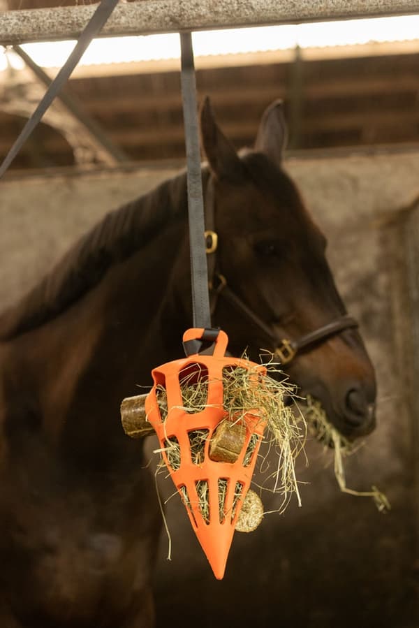 Lax Hay nappeblokk for hester
