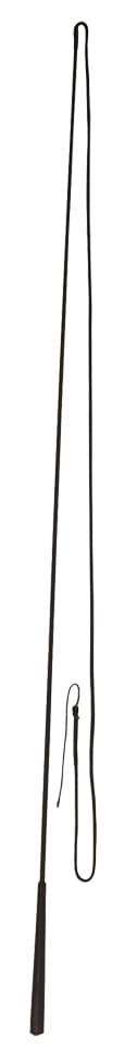 Utfallspisk 180cm