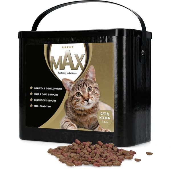 Max Kat og Kitten