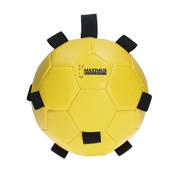 Maximus Fun Play Ball Gul