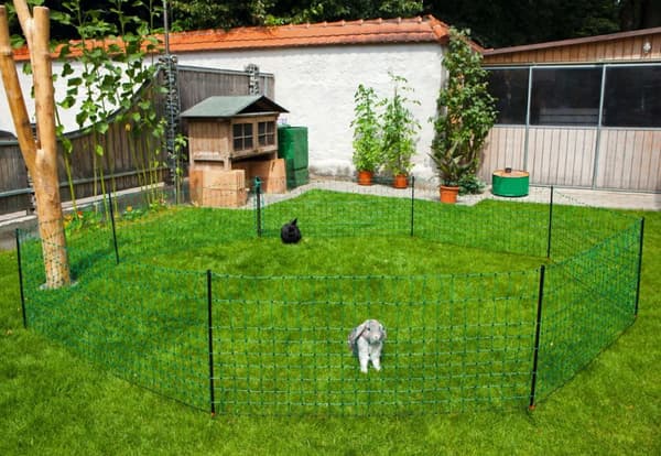 Nett Kanin 65cm enkelt pigg 12 m.