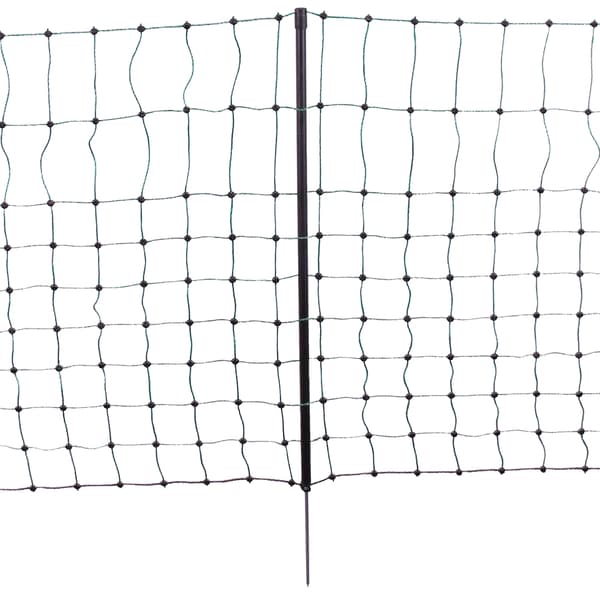 Nett Kanin 65cm enkelt pigg 12 m.