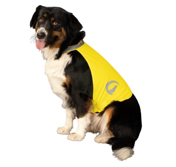 Nightwalk Dog Safety Vest Gul Lille